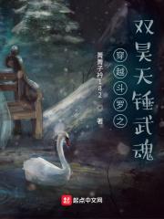 总统的心尖宠免费