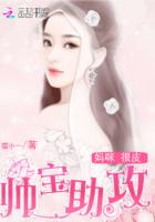 重生三国之武安国